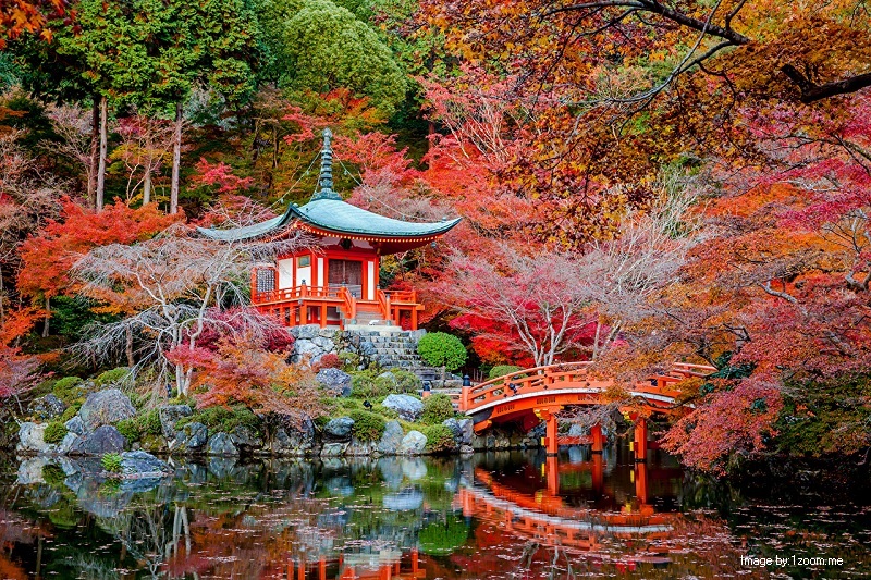 Hal menarik musim gugur di Jepang
